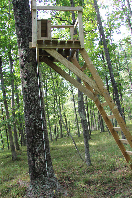 home made ladder stands