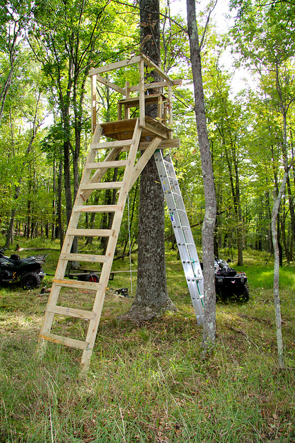 Lets see your hunting tree stand pictures! - General ...