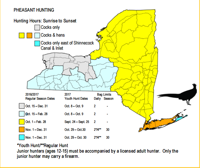 201617 New York State Hunting Season Dates NYS DEC News and