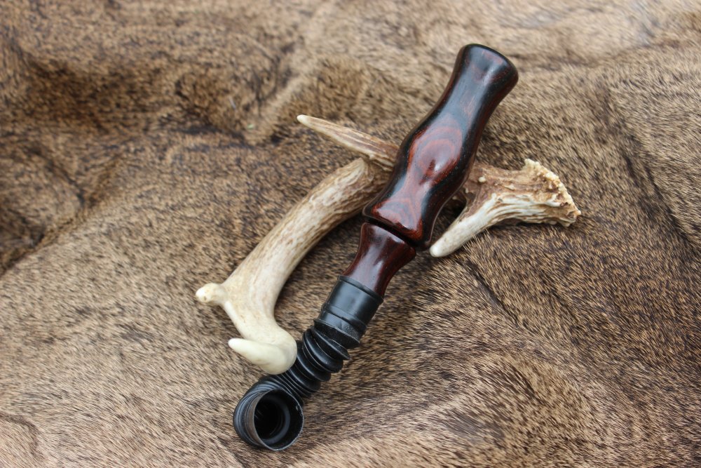 Cocobolo Grunt First call.JPG
