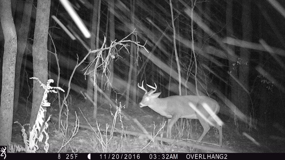11.20.16 four point at 3.5 .JPG