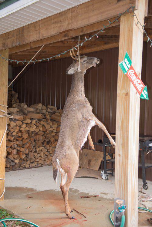 deer season (13 of 13).JPG