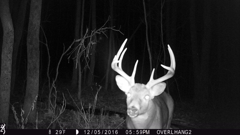 12.20.16 Big 10 mount .JPG