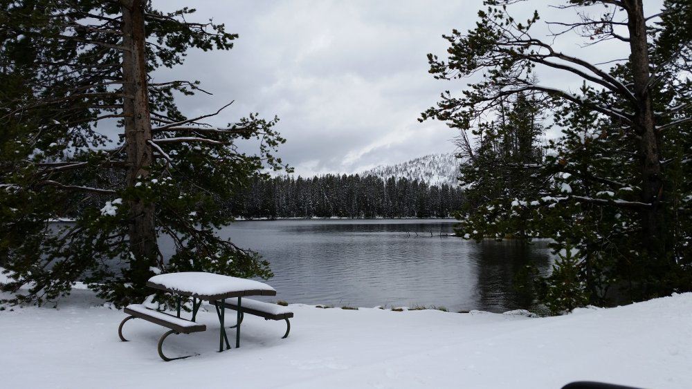 sylvan pond snow.jpg