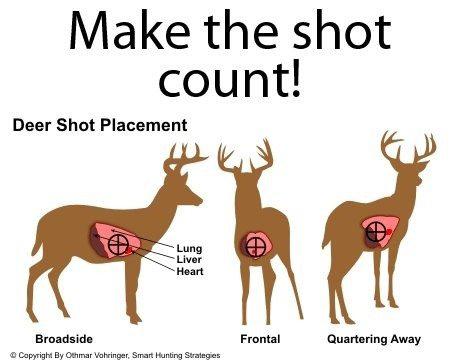 These foam targets vitals are wrong right? Deer Hunting Hunting