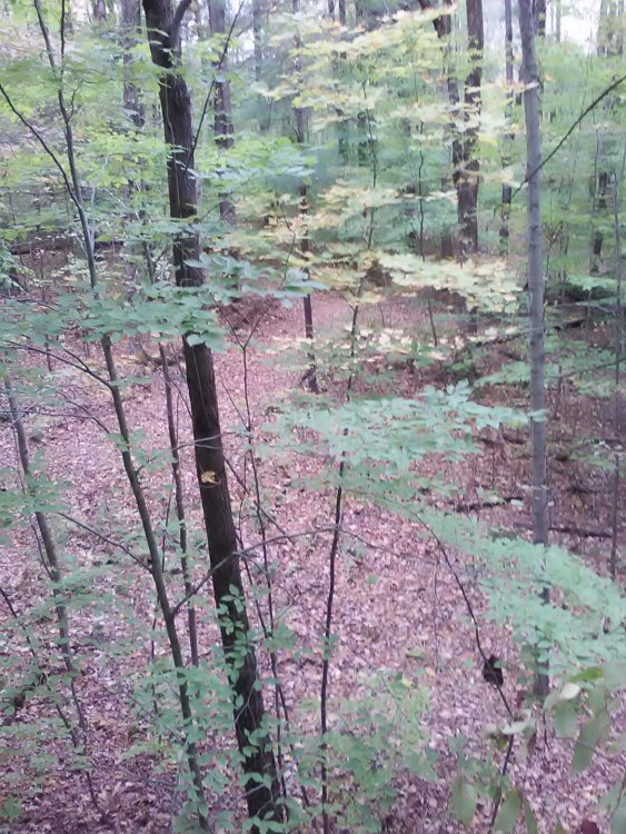IMG_20181022_100123[1].jpg