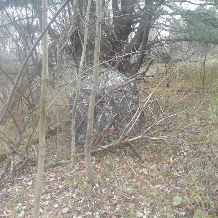 20181031_151001.jpg