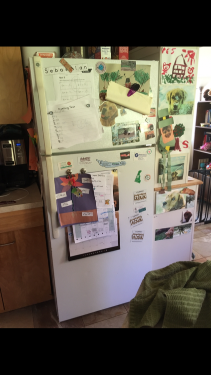 IMG_6015.PNG