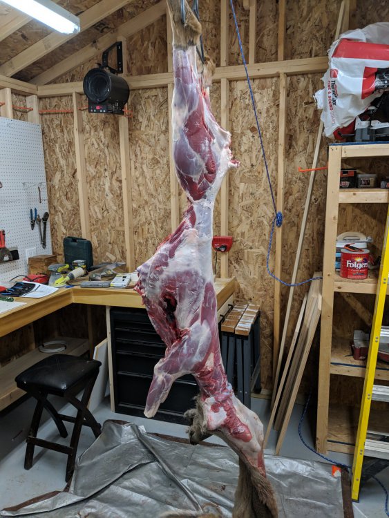 skinned.jpg