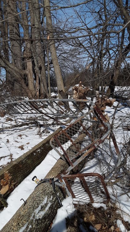 20190324_103827.jpg
