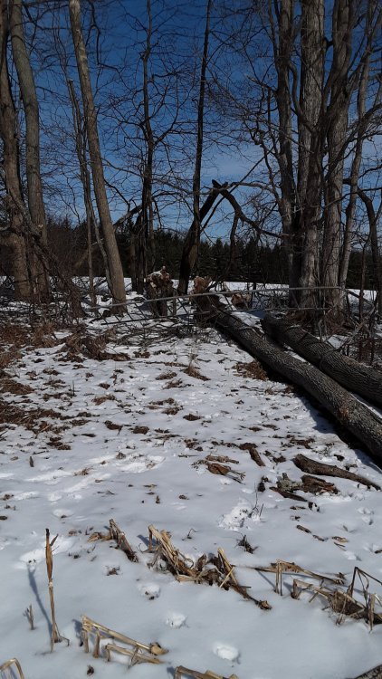20190324_103850.jpg