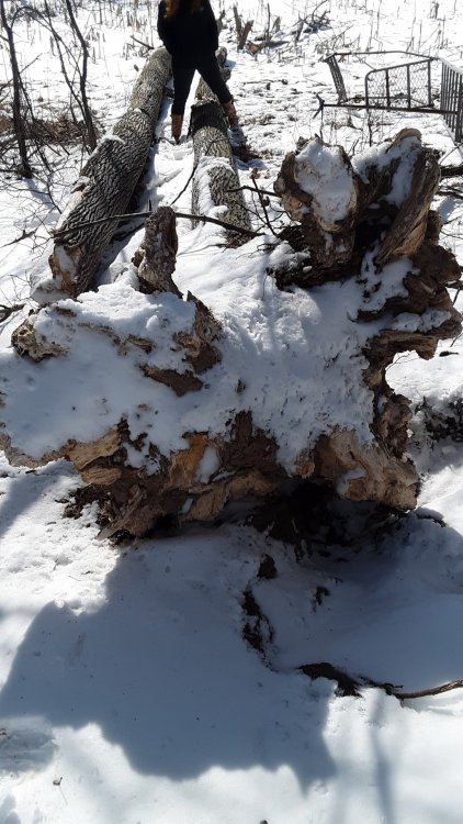 20190324_104431.jpg