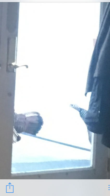 336656609_IMG_4286(1).thumb.png.123c18728dd73d909ef1091be5b3b6ea.png