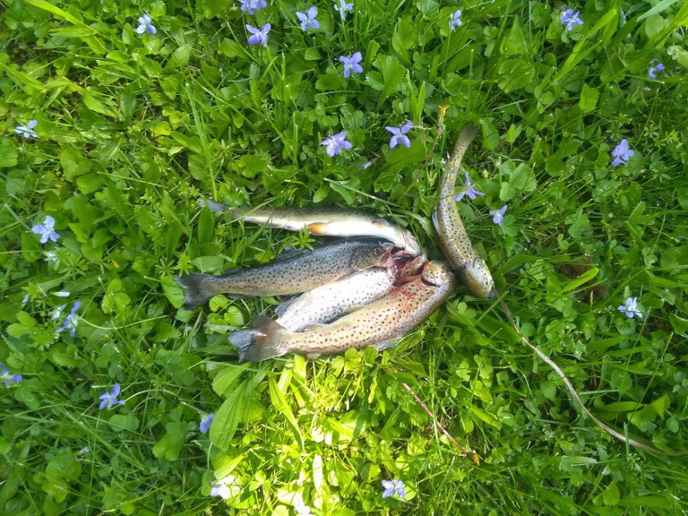 IMG_20190519_103101976.jpg