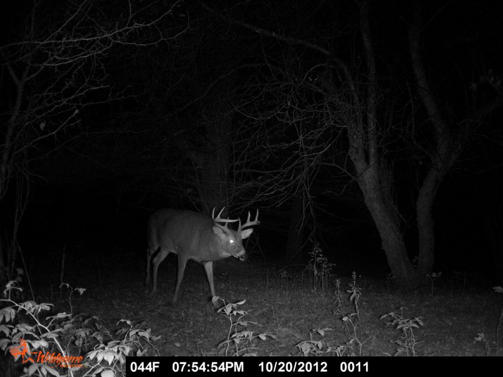 Big Balls At his Peak October 2012.JPG