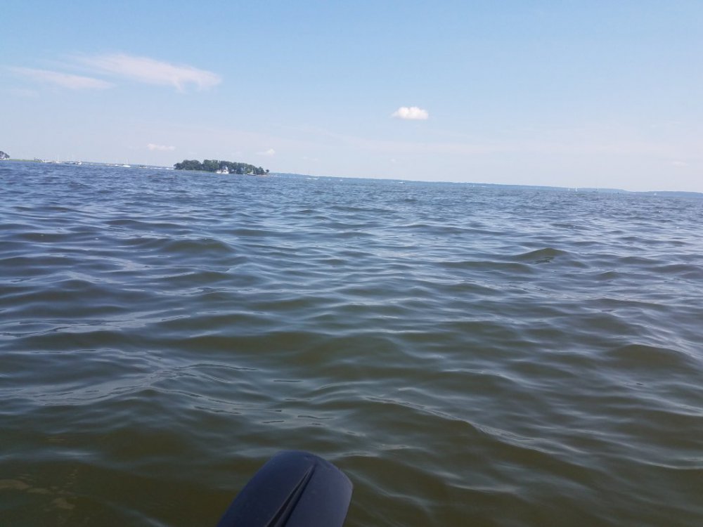 20190804_145624.jpg