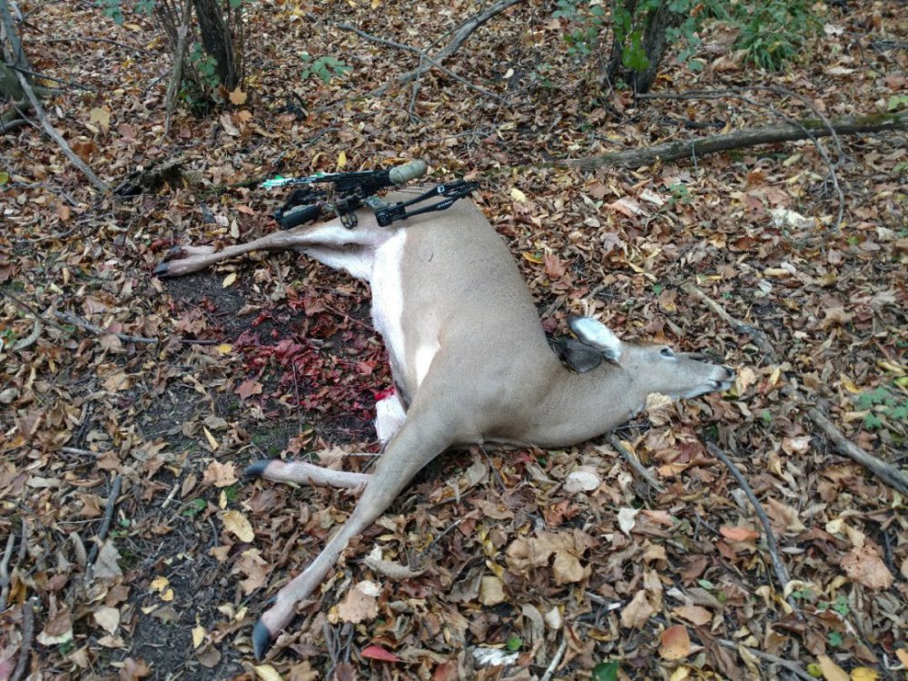 doe - Augusta Oct 25th- 17.jpg