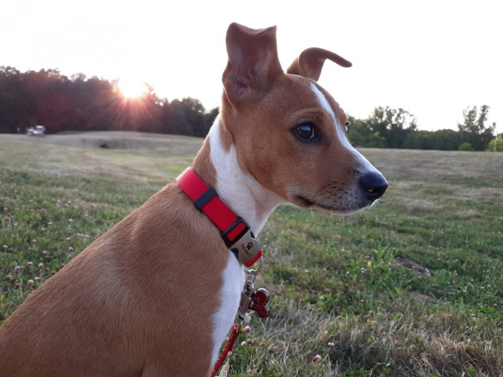 Resized_20190801_194354.jpeg