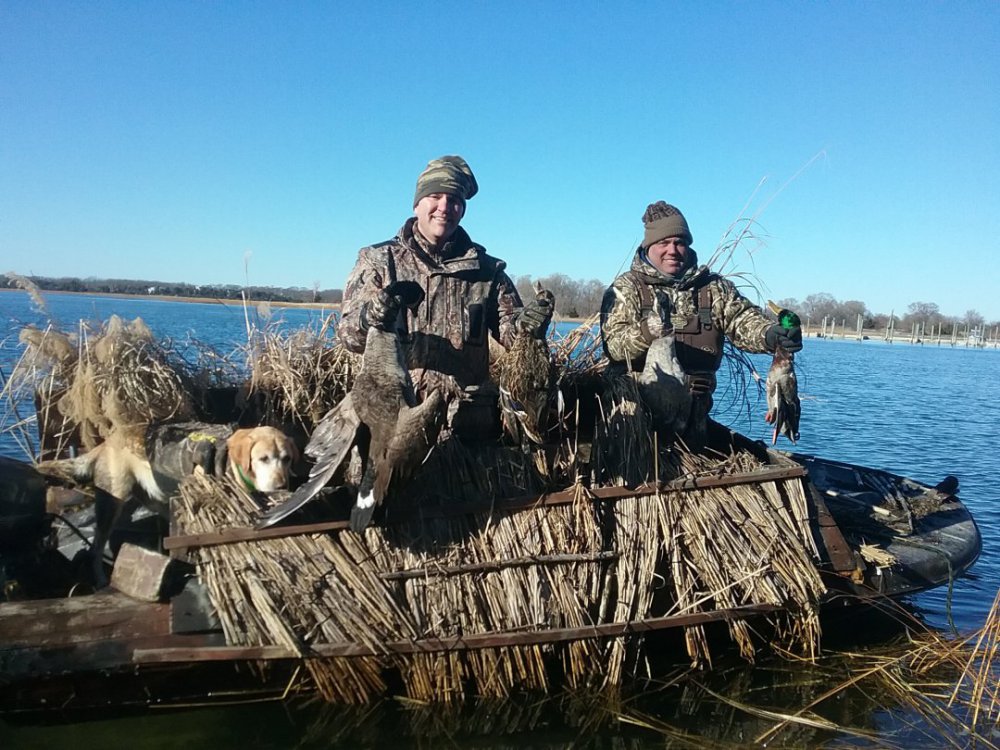 duck hunting guides new york