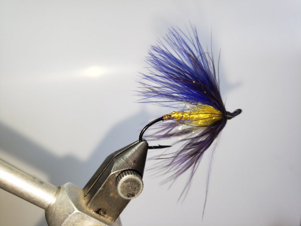 20190924_153928.thumb.jpg.631800dd85f0abe3fe1400ade87230a6.jpg