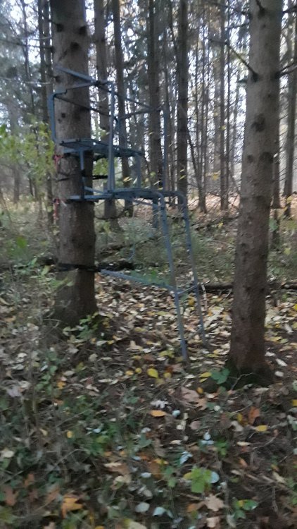 20191027_180015.jpg
