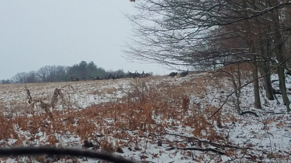 20191124_084611[2].jpg