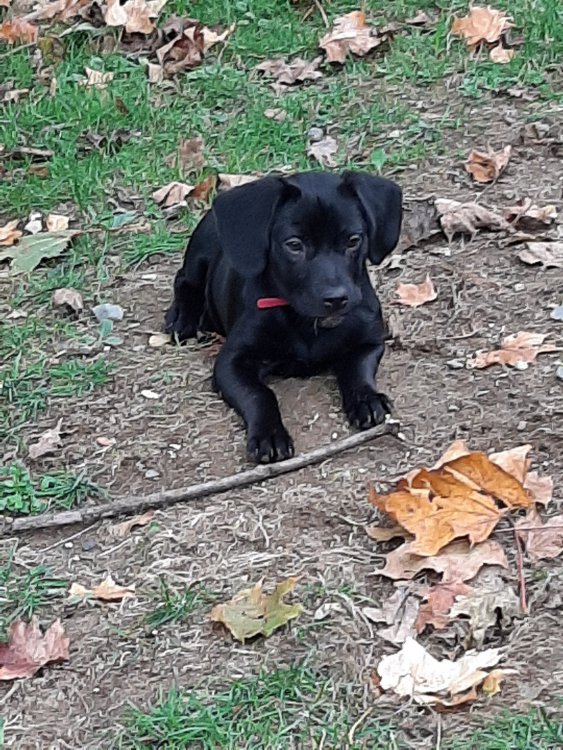 20191105_130147.jpg
