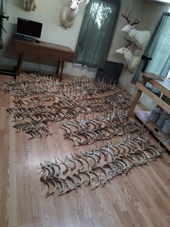 received_817858005348097.thumb.jpeg.1f03f95715996cbb05f405477fb11663.jpeg