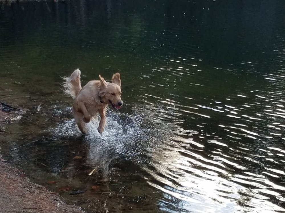 20160402_183714.jpg