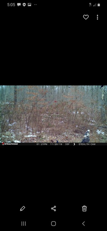 Screenshot_20200301-170511_Gallery.jpg