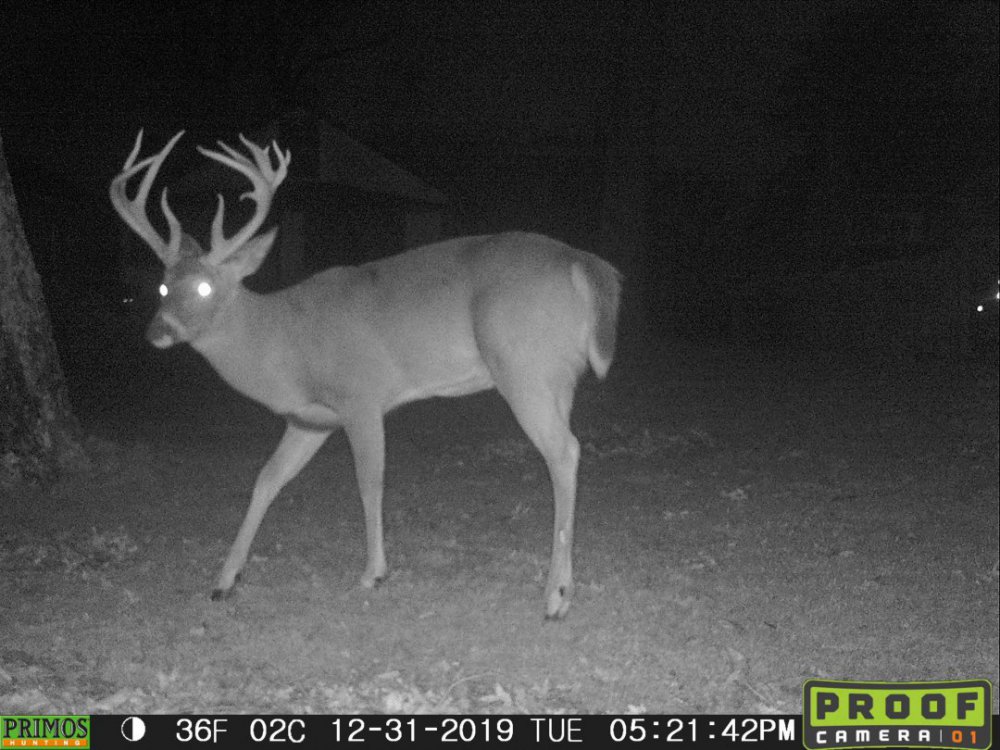 Hunting Long Island Help Region 1 Hunting New York NY Empire