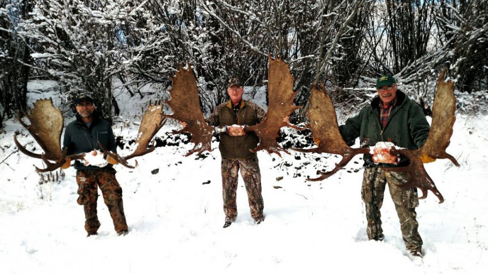 Yukon moose, Blackstone Outfitters 2019. John, Roger & Gary.jpg