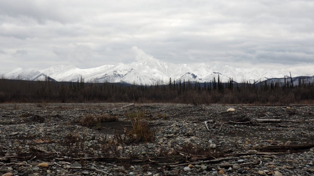 Yukon snow capped mountains.JPG
