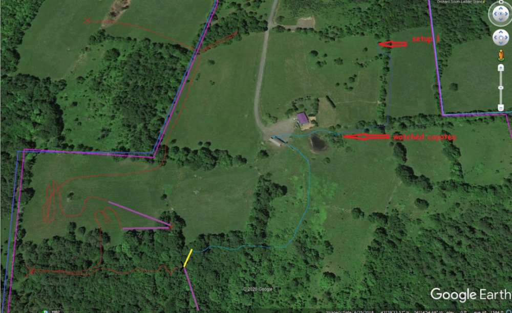 May 2 2020 Epic Gobbler Fail.jpg