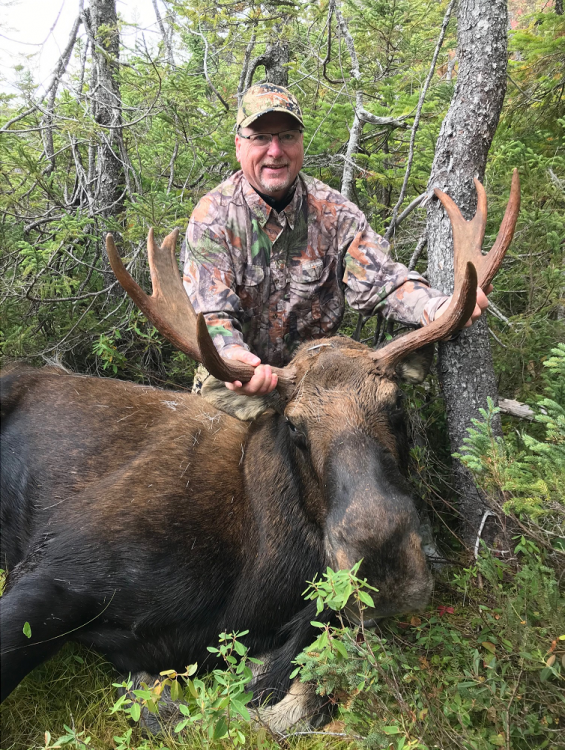 Moose.png