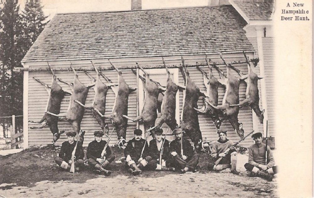 Vintage NH Deer Hunt.jpg