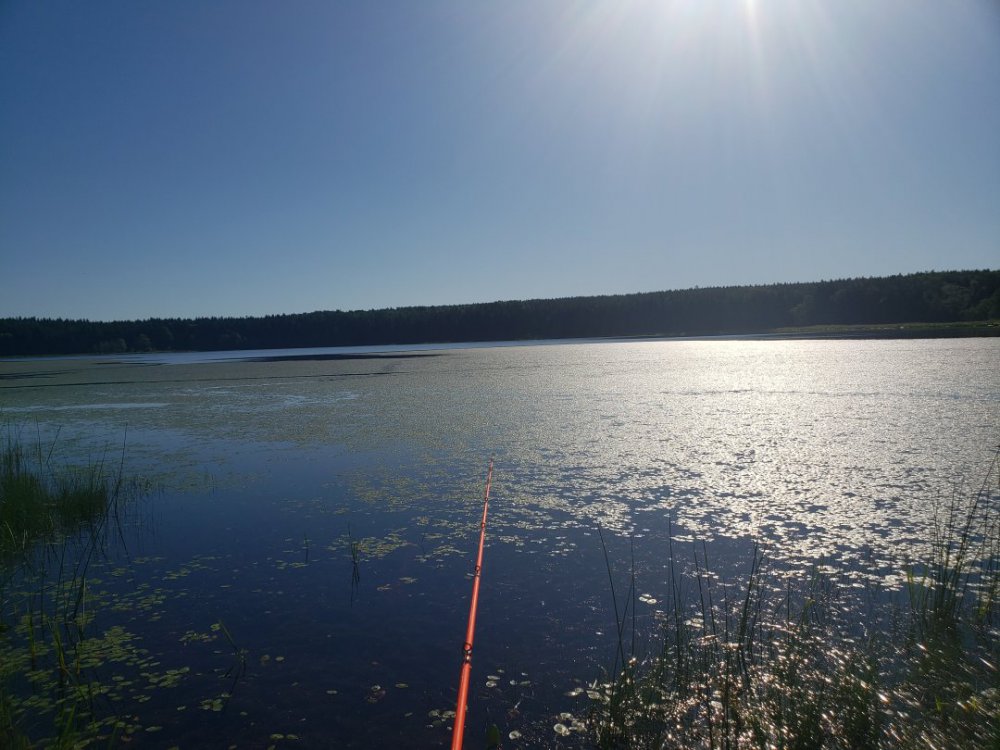 20200617_083406.jpg