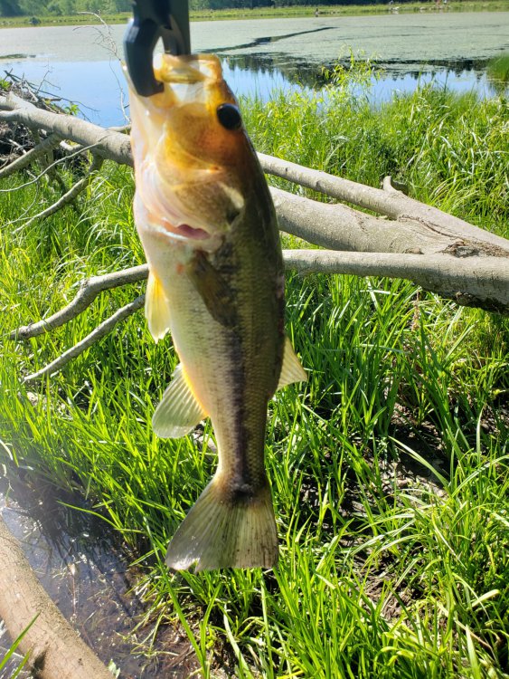 20200617_092617.jpg