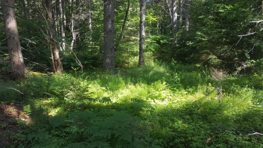20200619_094223.jpg