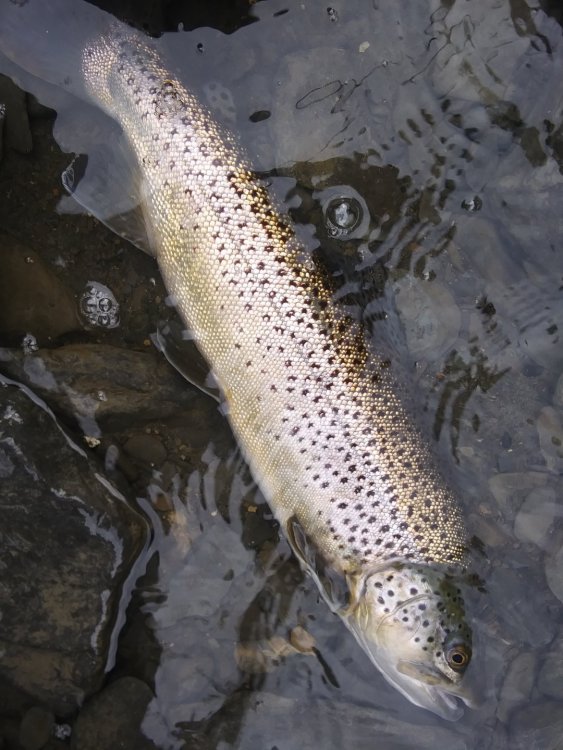 20190520_164657.jpg