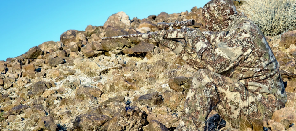 image.thumb.png.ed03684f68ebdff74f02070f051b8cde.png