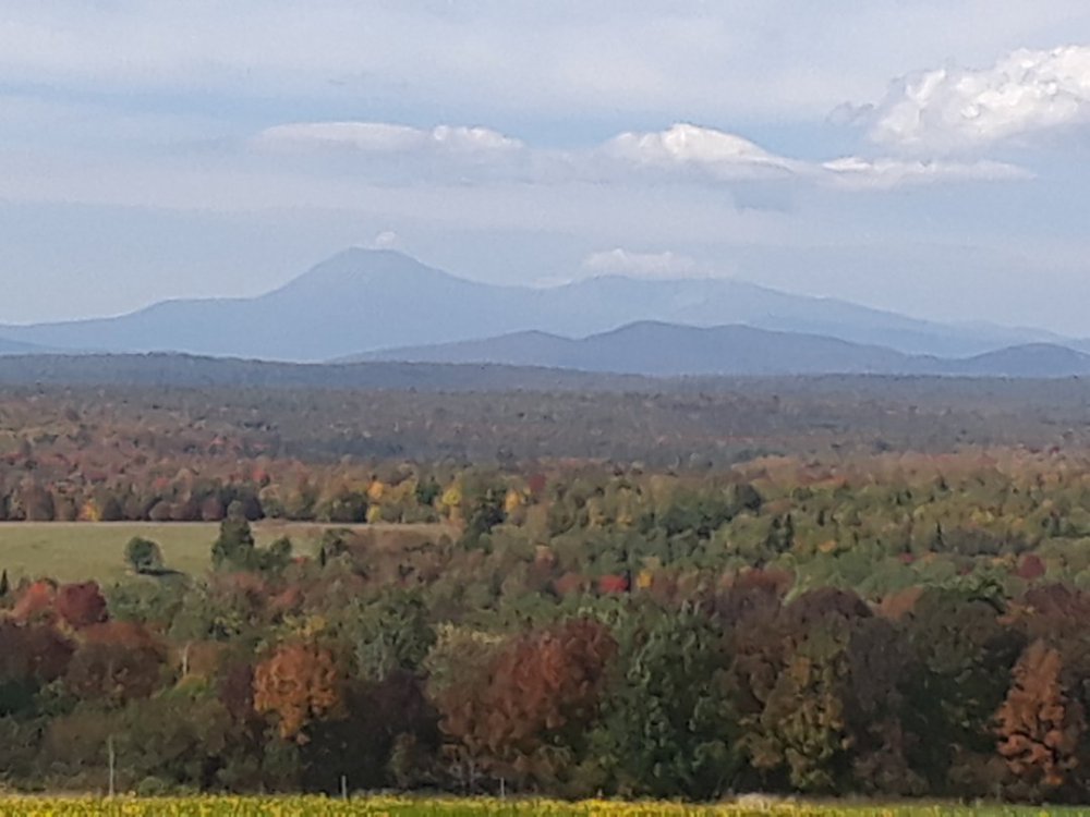 20190922_110236.thumb.jpg.a76b5b6a831e69efec6a1403807db0cc.jpg