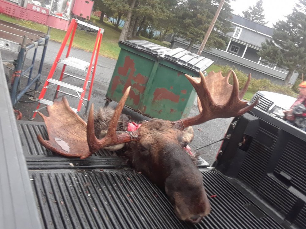 20190928_143241.thumb.jpg.f4976214521bde6c199052884b5b2cdc.jpg