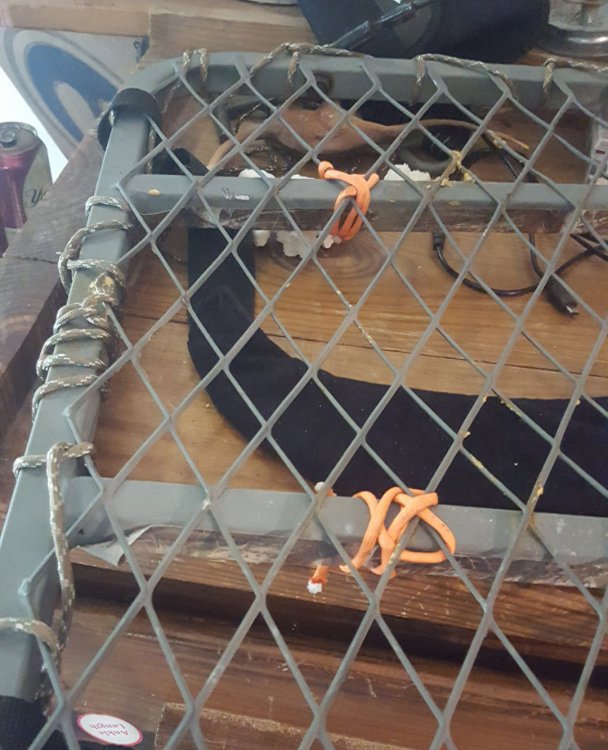 20200912_111040.jpg