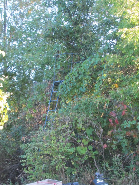 IMG_0003.JPG