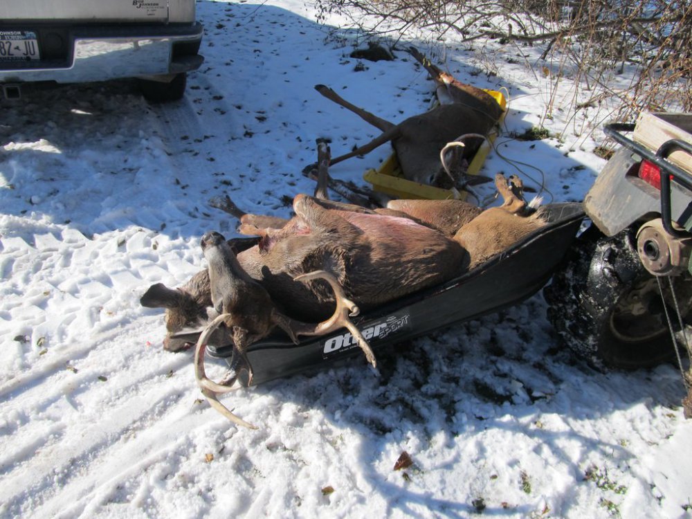 Anyone use the jet sled? Hunting Gear Reviews and Gear Discussions
