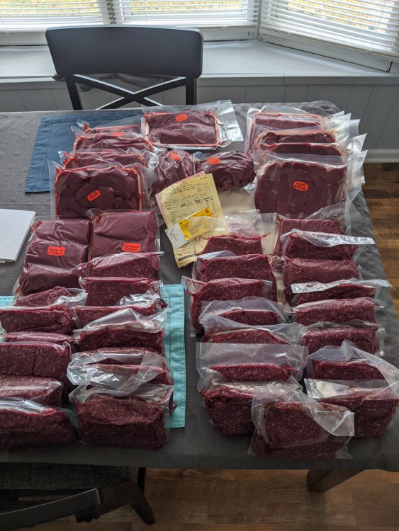 2020 bow buck butcher.jpg