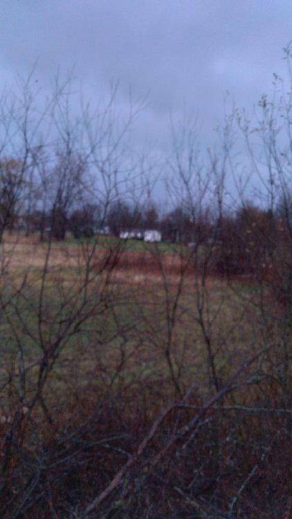 20201126_072113.jpg