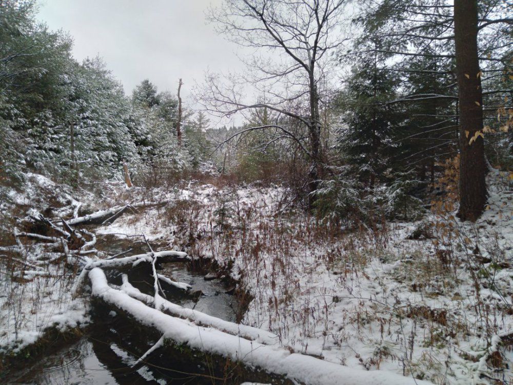 20201210_092446.jpg