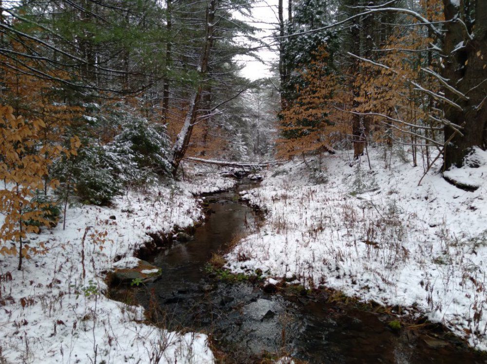 20201210_102745.jpg